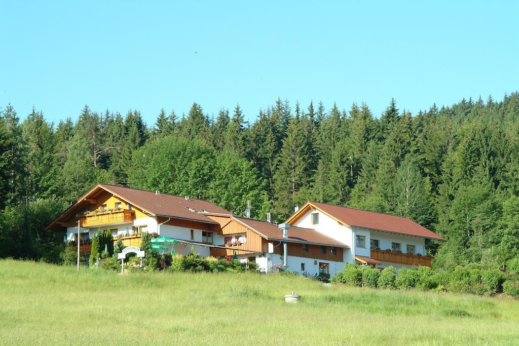 Gasthaus Pension Sternknockel Bodenmais Exterior foto