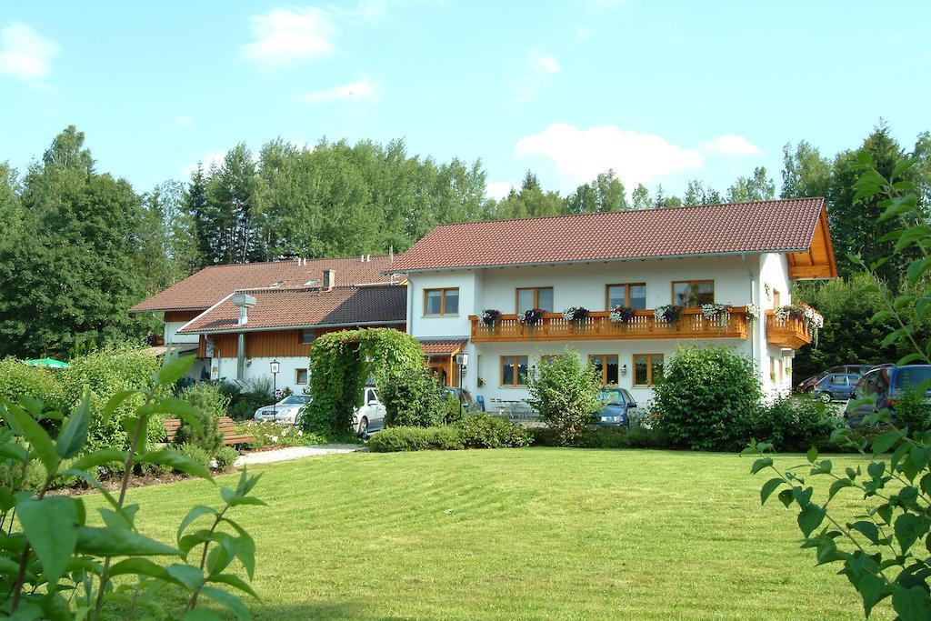 Gasthaus Pension Sternknockel Bodenmais Exterior foto